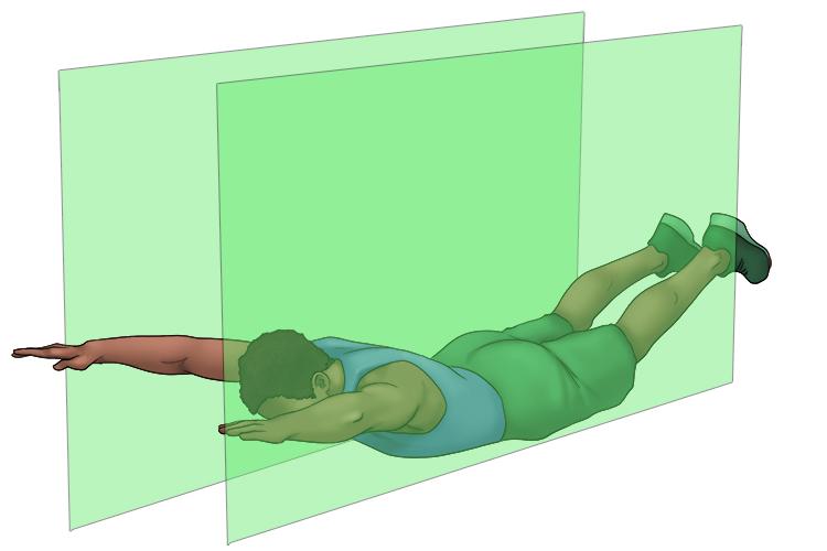1/ Lying hyperextension on the floor - this is a sagittal plane movement because it occurs between the two sheets.
